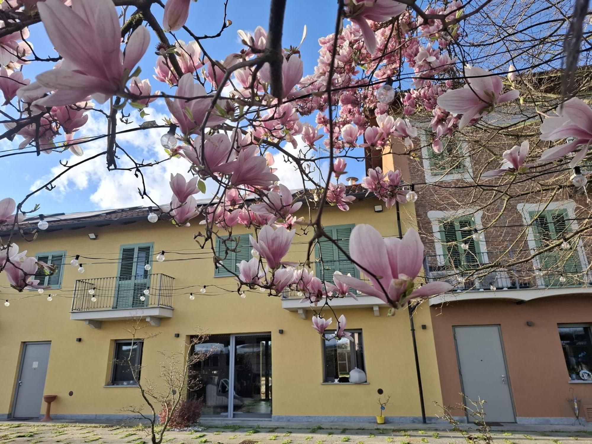 Villa Albina La Loggia Экстерьер фото