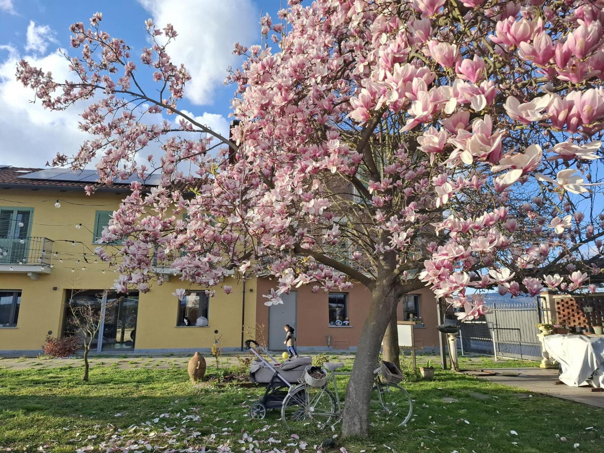 Villa Albina La Loggia Экстерьер фото